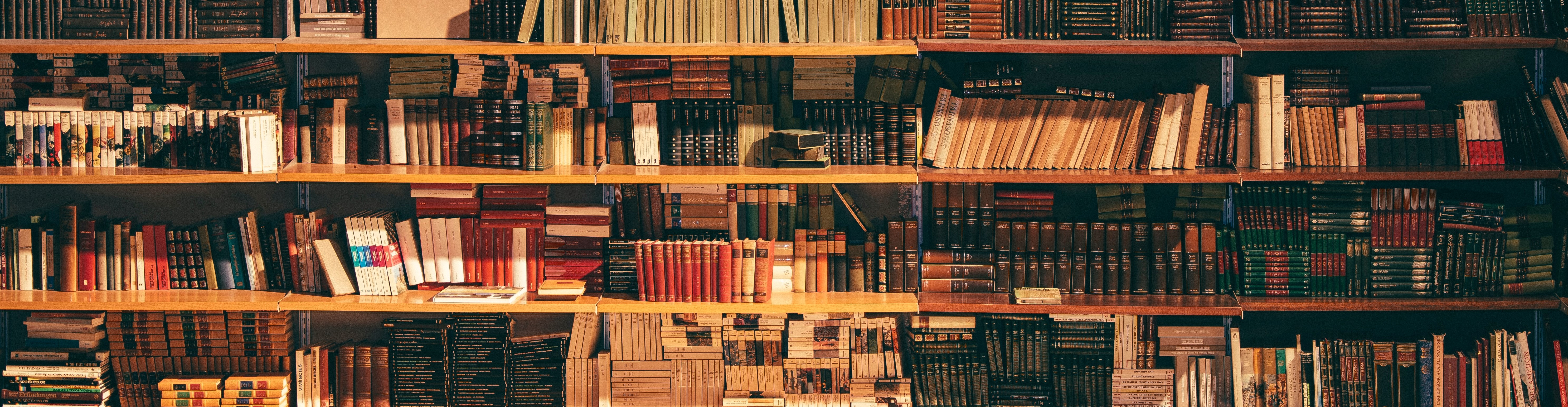 alfons-morales-YLSwjSy7stw-unsplash Publish research paper